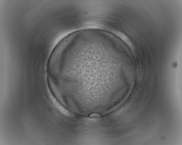 X0000091951431200709201313