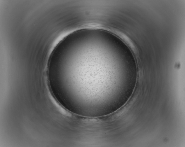 X0000091951432200709201313