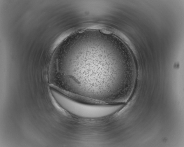 X0000091951433200709201313