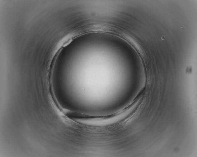 X0000091951434200709201313