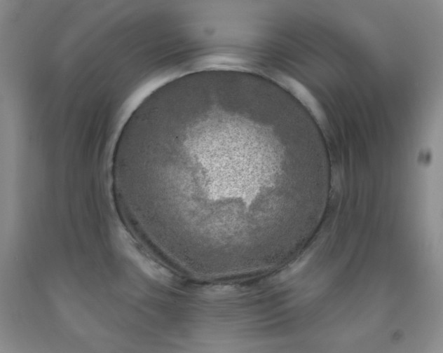 X0000091951435200709201313