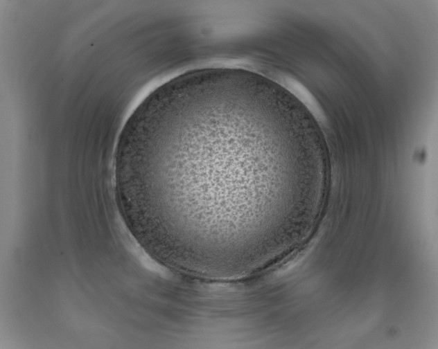 X0000091951436200709201313