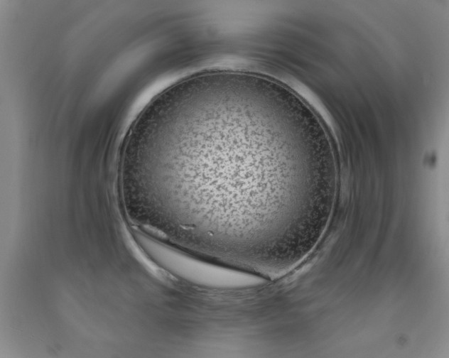 X0000091951437200709201313