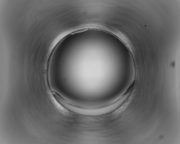 X0000091951438200709201313