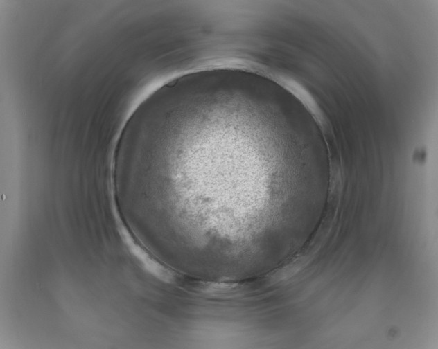 X0000091951439200709201313