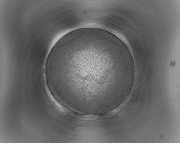 X0000091951440200709201313