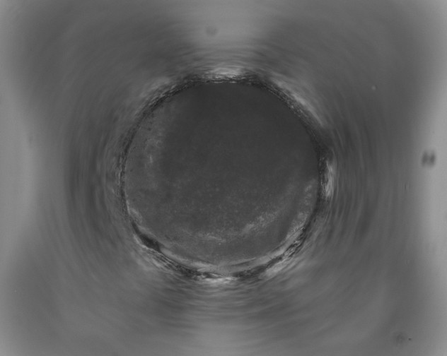 X0000091951441200709201313