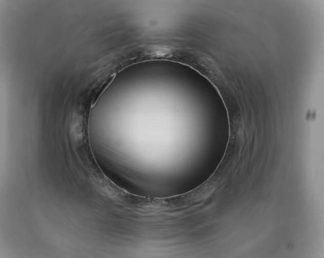 X0000091951442200709201313