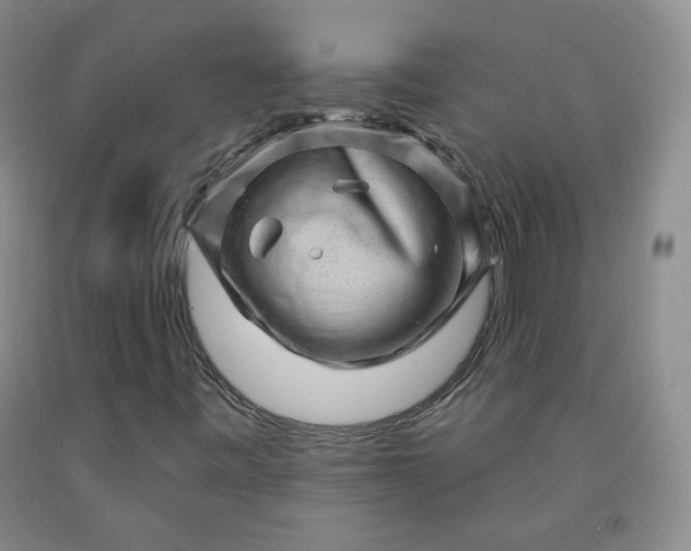 X0000091951443200709201313