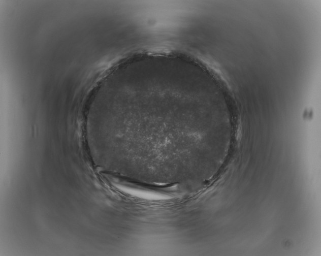 X0000091951445200709201313