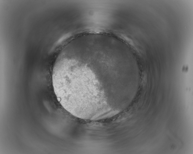 X0000091951446200709201313