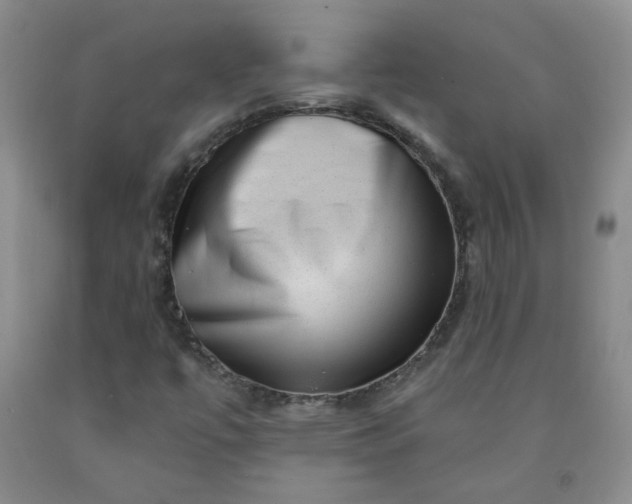 X0000091951447200709201313