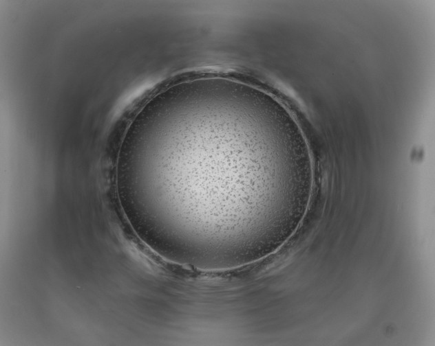 X0000091951448200709201313