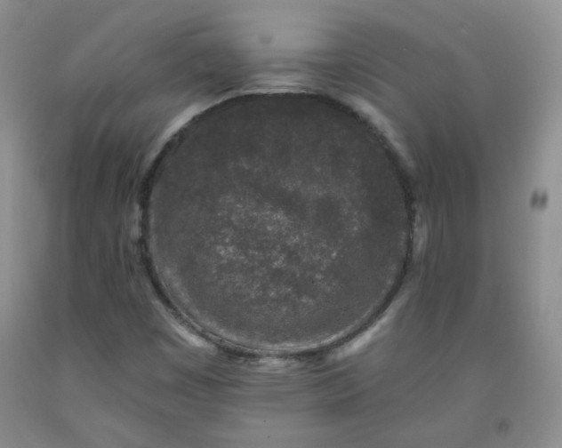 X0000091951449200709201313