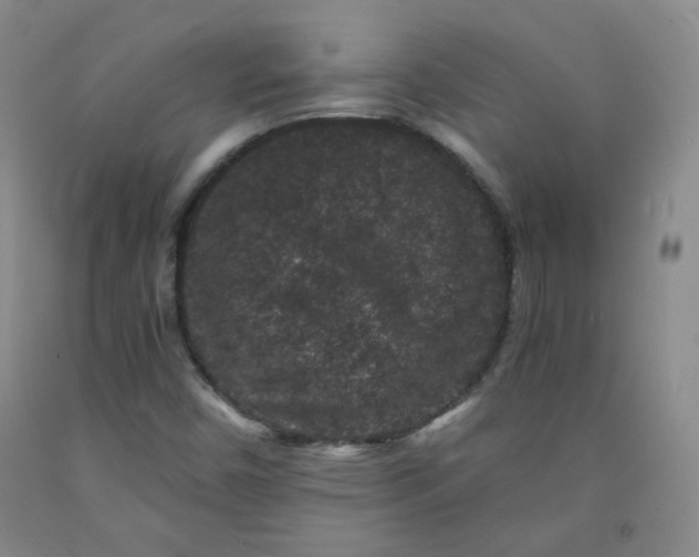 X0000091951450200709201313