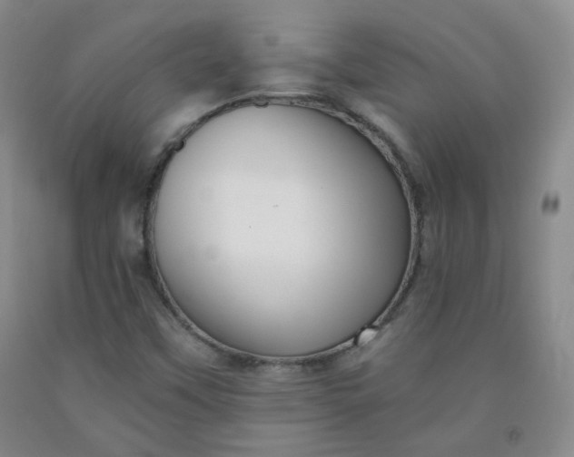 X0000091951451200709201313