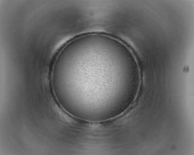 X0000091951452200709201313