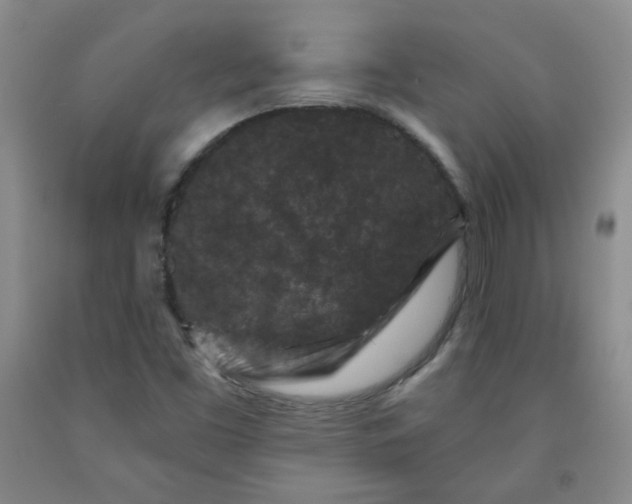 X0000091951453200709201313