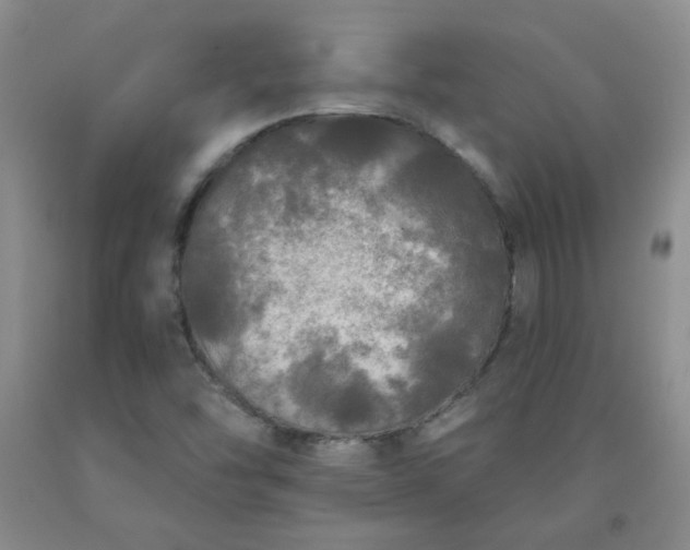 X0000091951454200709201313