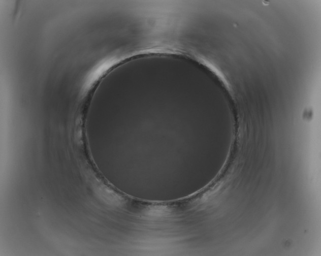 X0000091951455200709201313