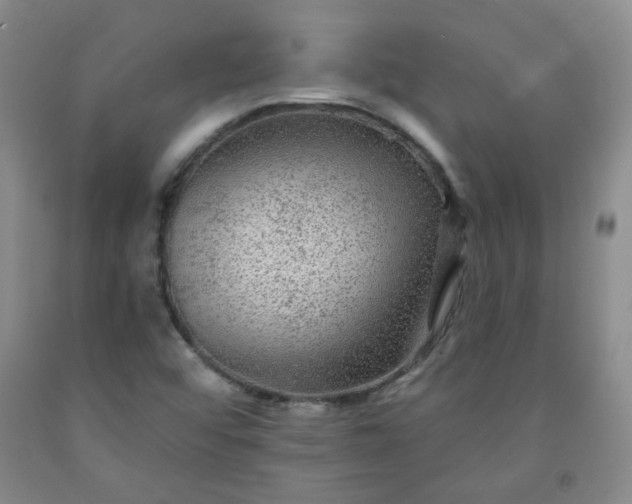 X0000091951456200709201313