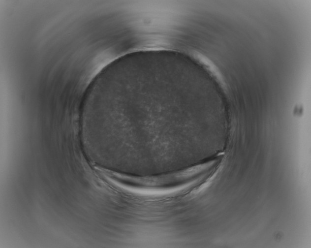 X0000091951457200709201313