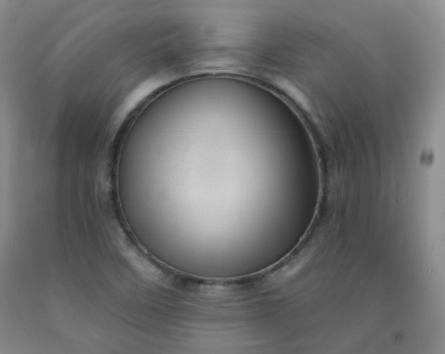 X0000091951458200709201313