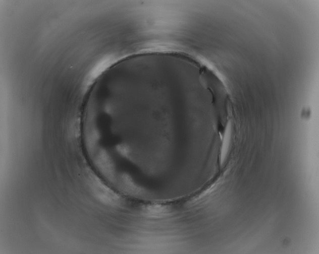 X0000091951459200709201313