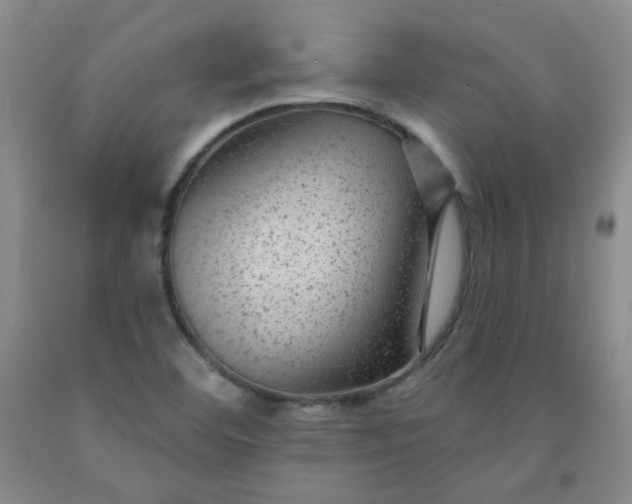 X0000091951460200709201313