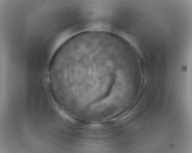 X0000091951462200709201313