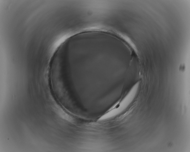 X0000091951463200709201313