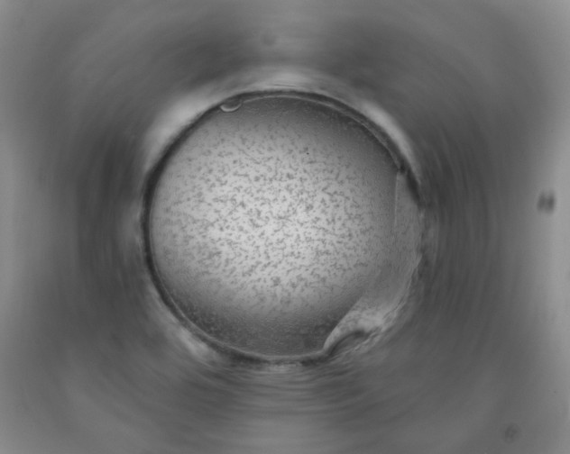 X0000091951464200709201313