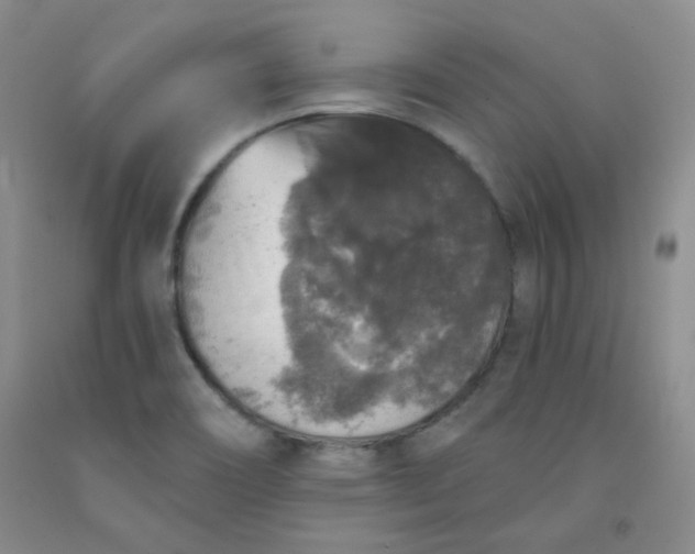 X0000091951466200709201313