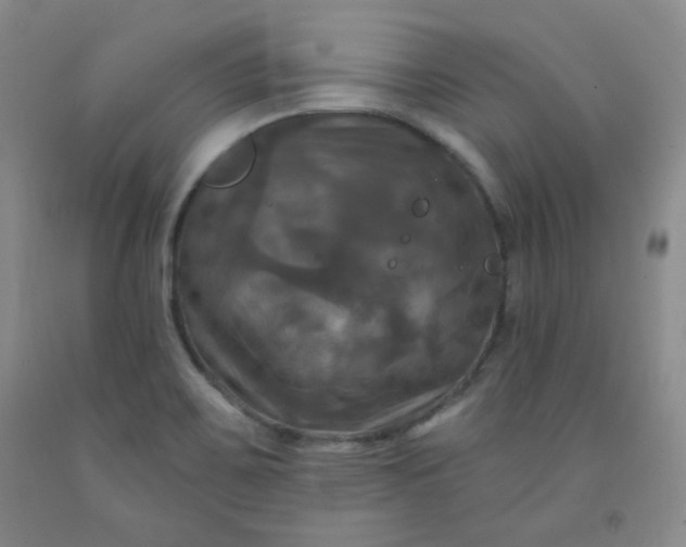 X0000091951467200709201313