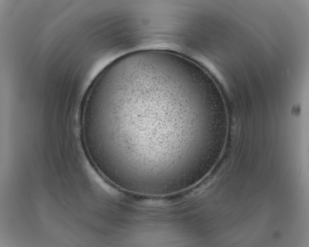 X0000091951468200709201313