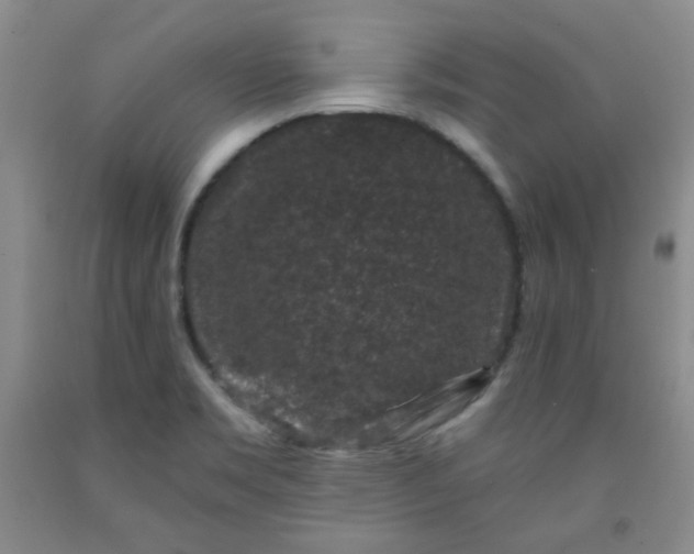 X0000091951469200709201312