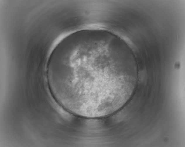 X0000091951470200709201312