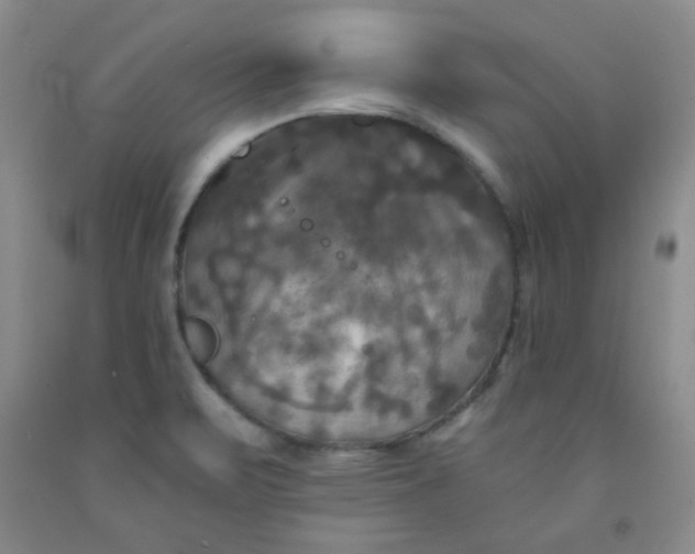 X0000091951471200709201312