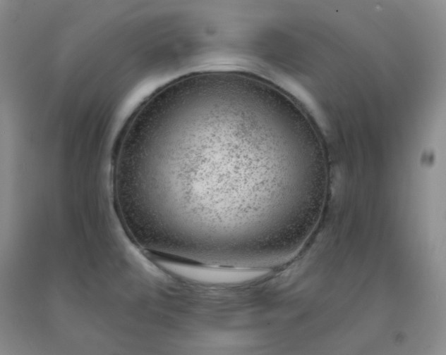 X0000091951472200709201312