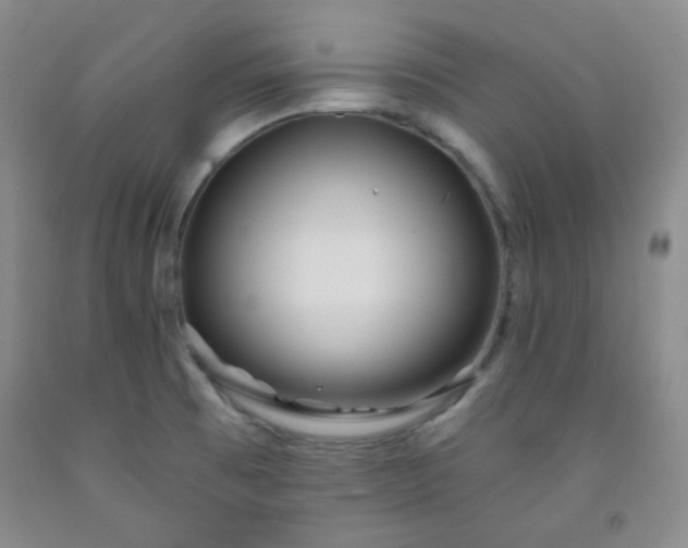 X0000091951473200709201312