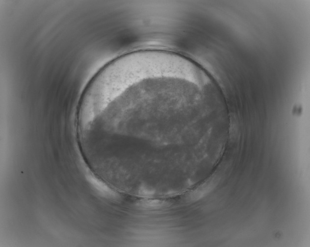 X0000091951474200709201312