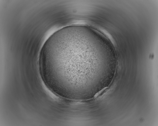 X0000091951475200709201312