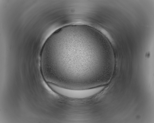 X0000091951476200709201312