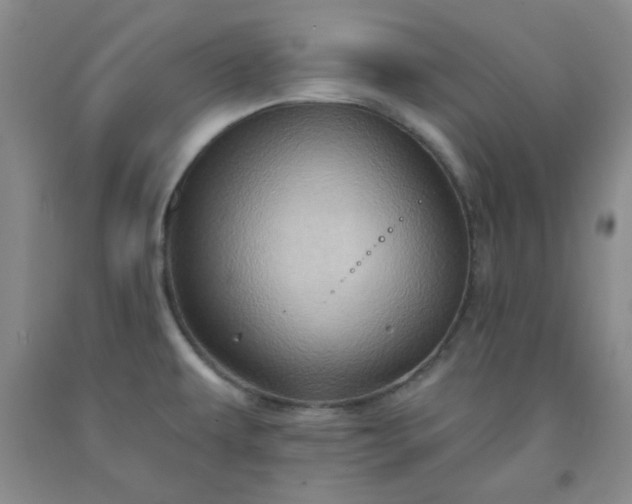 X0000091951479200709201312