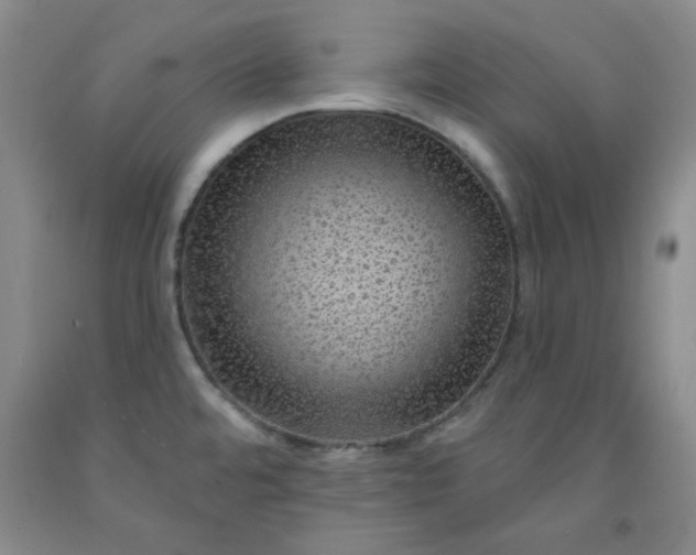 X0000091951480200709201312