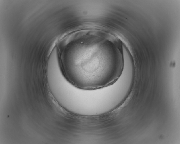 X0000091951481200709201312