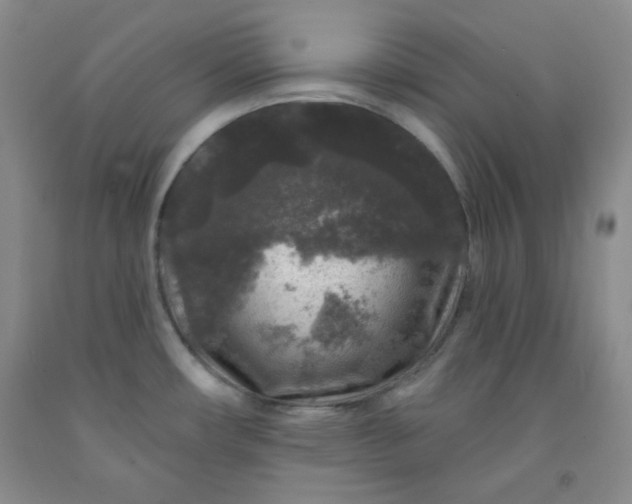 X0000091951482200709201312