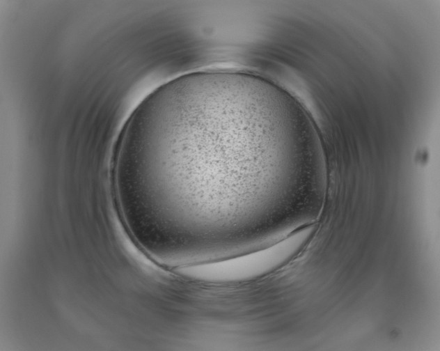 X0000091951483200709201312