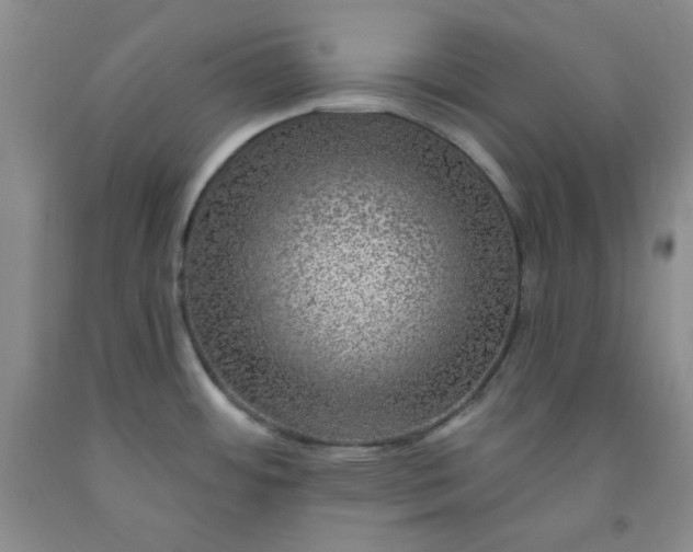 X0000091951484200709201312