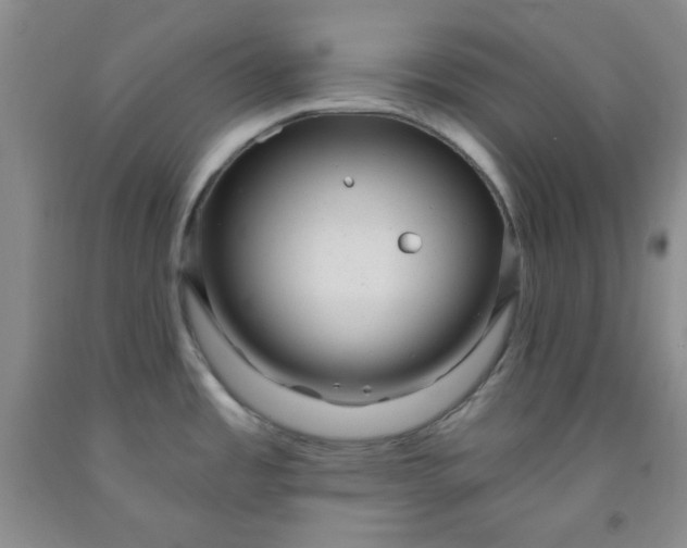 X0000091951485200709201312